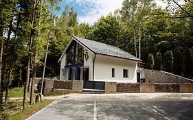 Vila Blanc Valiug Crivaia
